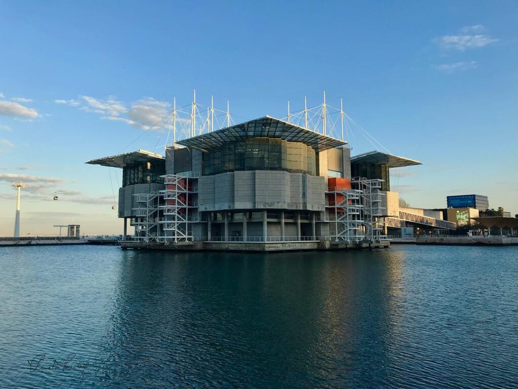 17 Best Indoor Things To Do In Lisbon When it Rains 24 lisbon Oceanarium