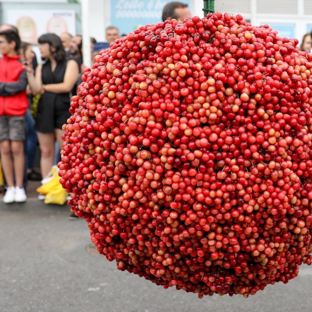 Lisbon In June: Best Time For Celebrations 5 cherry festival in lisbon