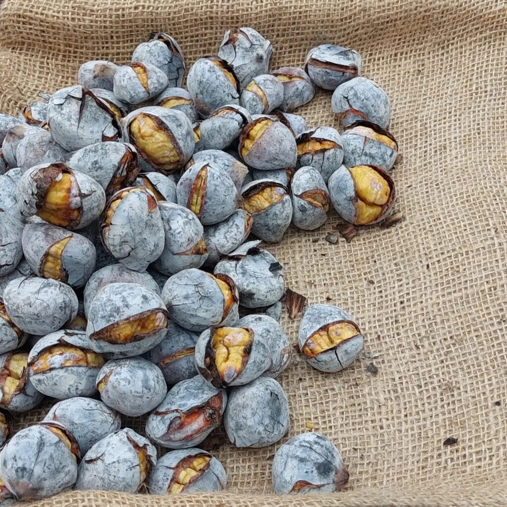 Lisbon in October: 8 Things to Do And What to Pack 5 roasted chestnuts