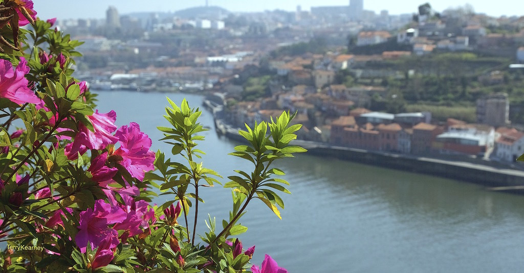 River Douro in Spring