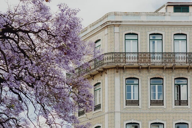 Spring in Lisbon: Embracing The Vibrant Spirit of Blooms