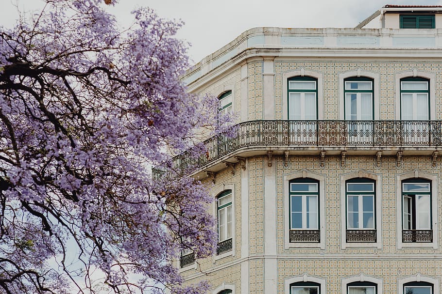 Spring in Lisbon
