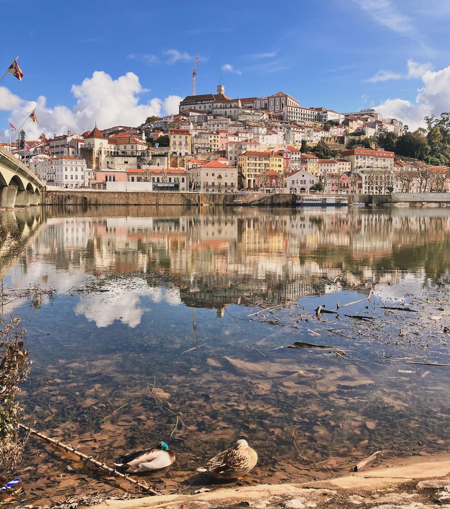 lisbon to coimbra