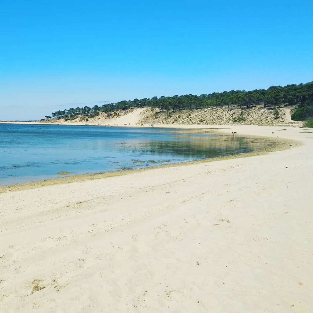 12 Best Beaches in Lisbon (Tourism Guide) 14 Lagoa de Albufeira