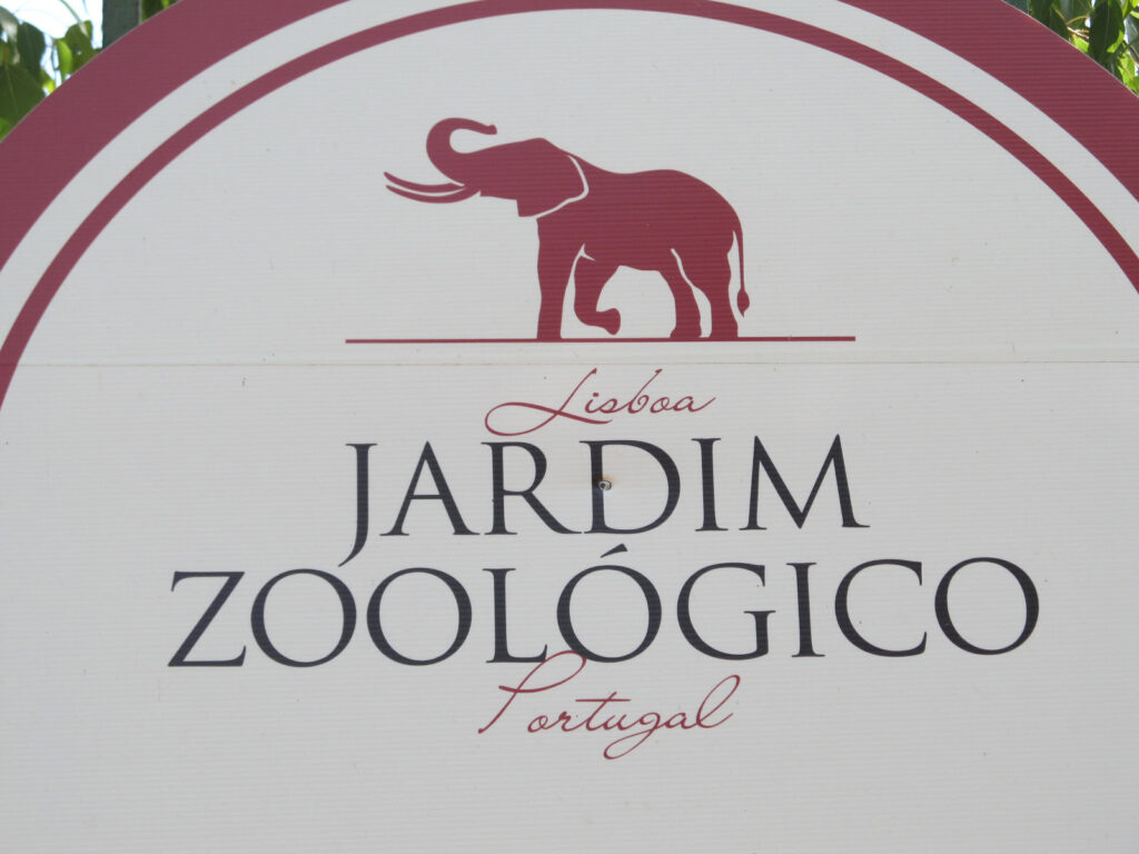 Lisbon Zoo Full Guide 1 Lisbon Zoo