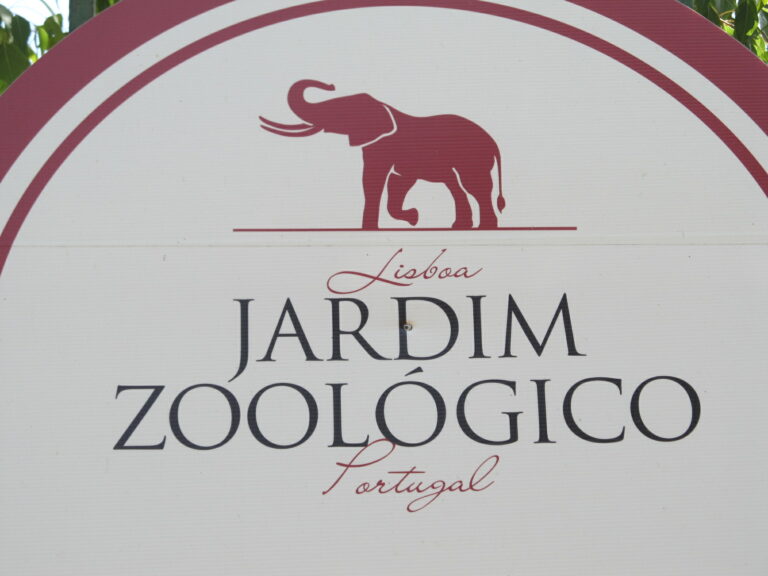 Lisbon Zoo Full Guide 2024