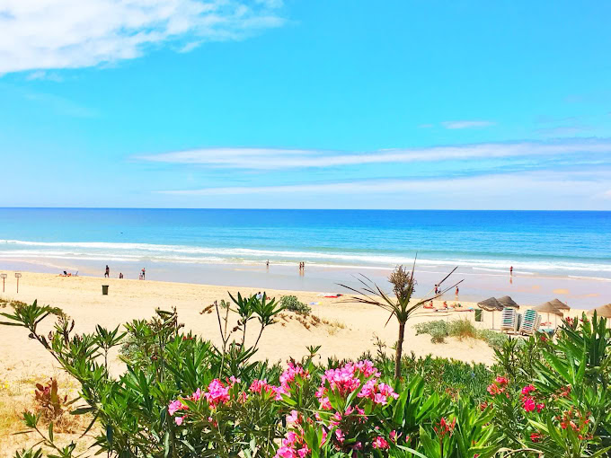Costa da Caparica (Full Guide of the Area) 10 Kailua