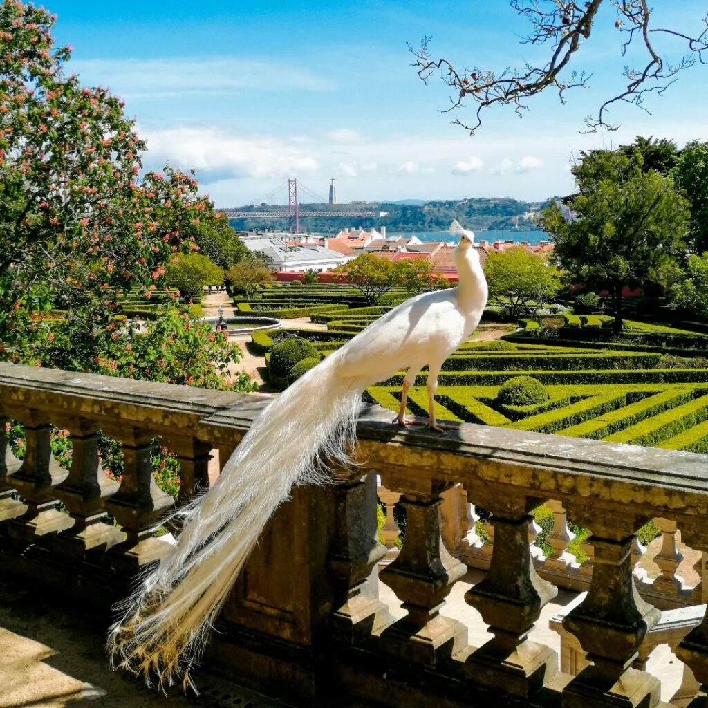 Ajuda Botanical Garden