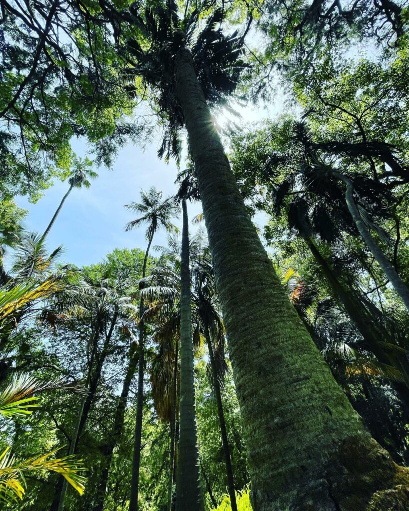 Botani Garden Lisbon