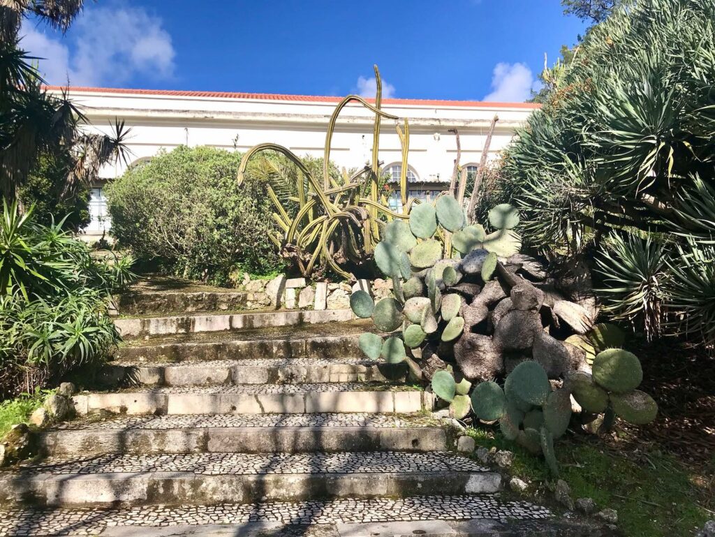 Botanical Garden in Lisbon