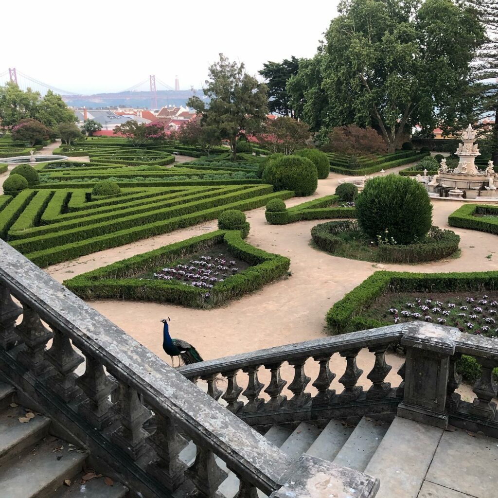 Jardim Botânico da Ajuda