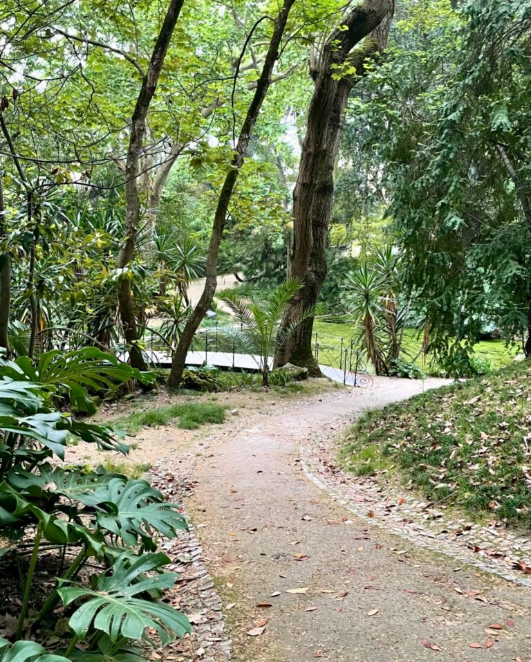 Lisbon Botanical Garden