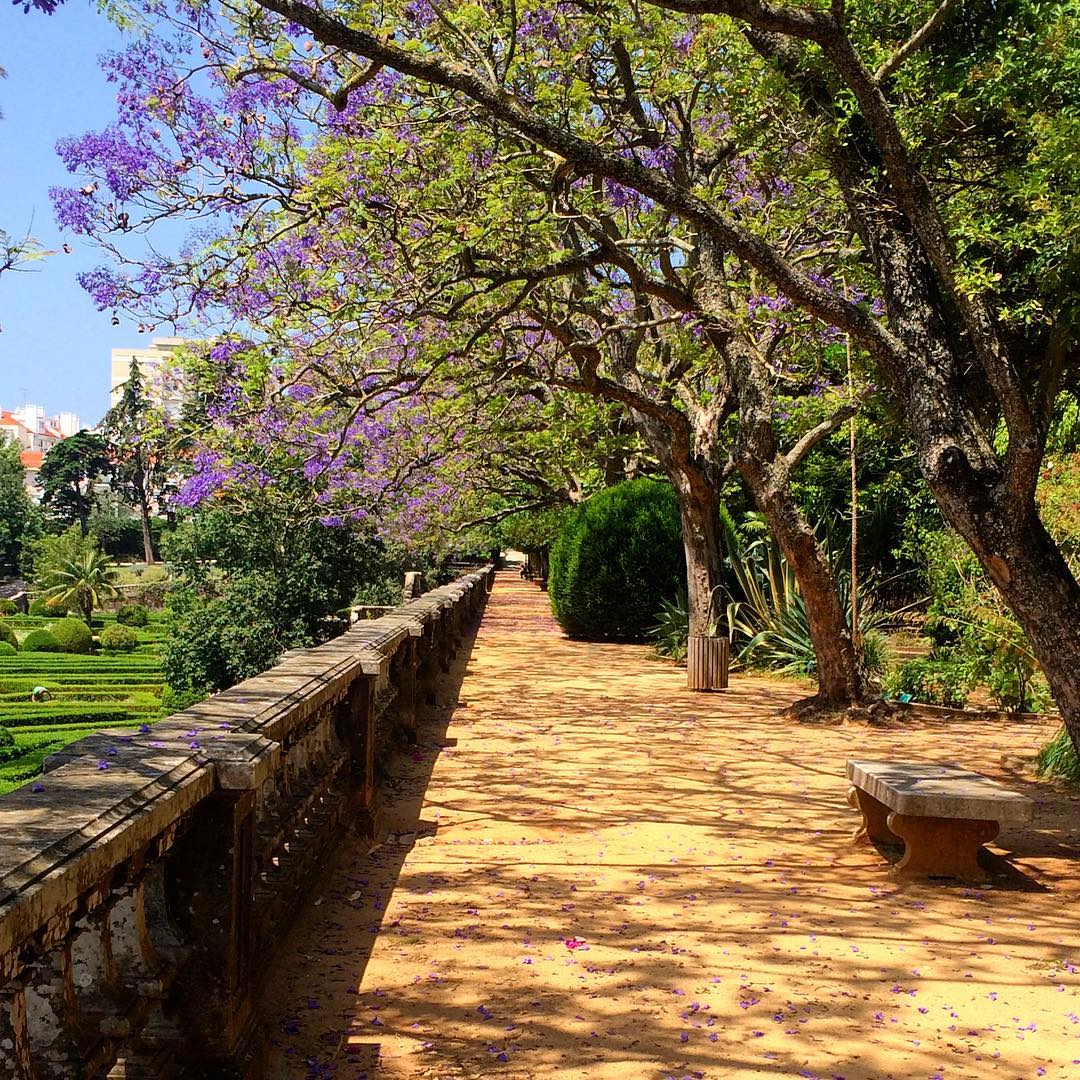 Vandelli Botanical Garden