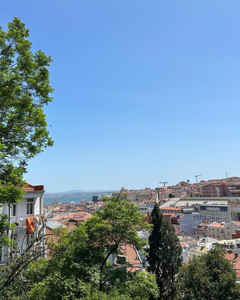 Jardim do Torel: Beautiful Garden and Viewpoint in Lisbon 5 jardim do torel view